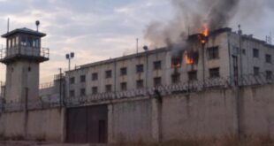 kobani