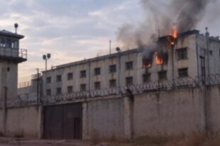 kobani
