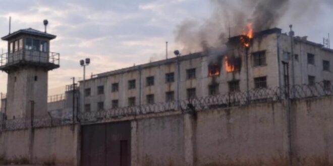 kobani