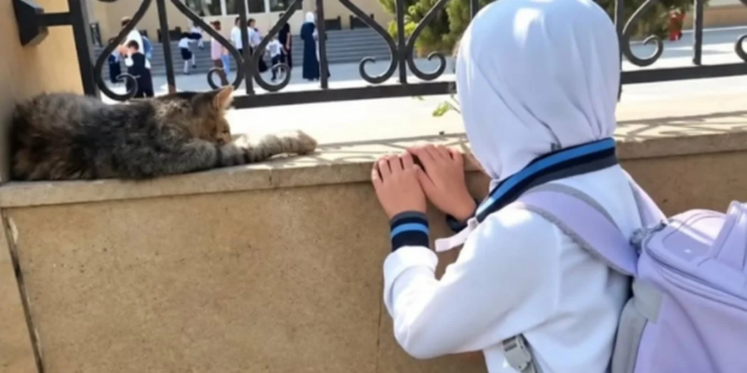Azerbaycan’da laiklik Müslüman çocukları vurdu: Karabağ gazisi isyan etti!