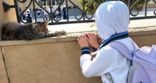Azerbaycan’da laiklik Müslüman çocukları vurdu: Karabağ gazisi isyan etti!