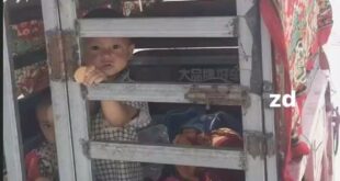 Zulmün gölgesinde bir çocukluk… “Babam toplama kampında, annem çalışmak zorunda!”