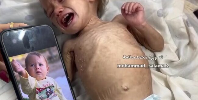 image 2025 05 25 18 37 39