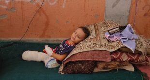 thumbs b c 9cc90a93d5f23470f72cd9ab219bfa99