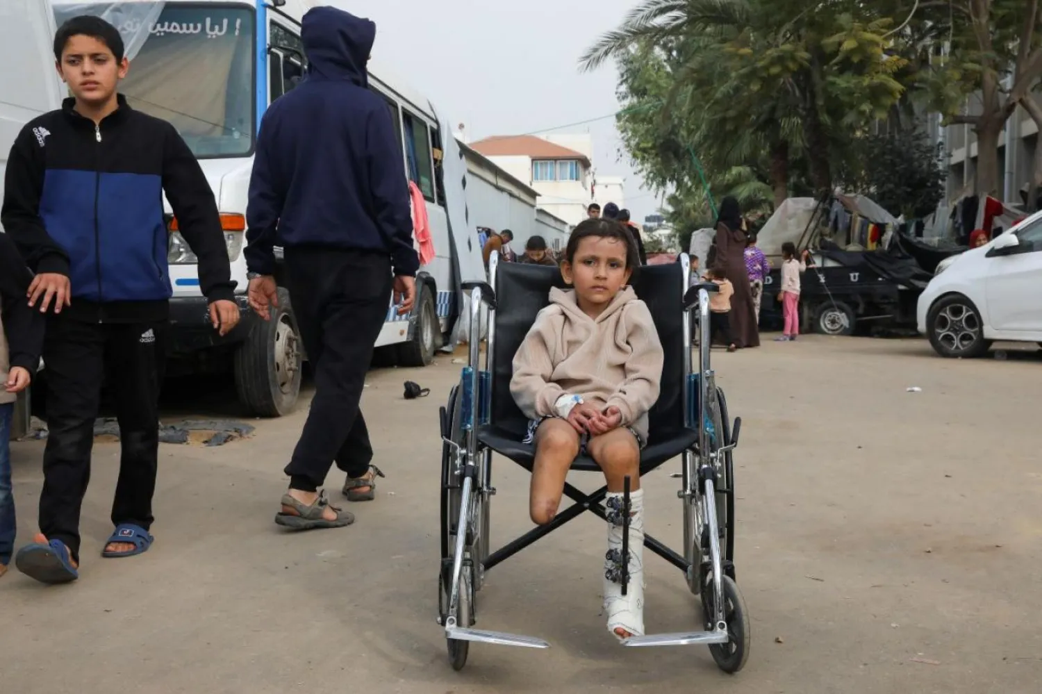 972556 353639483 0.jpg