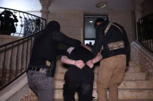 5001412446543088412 121