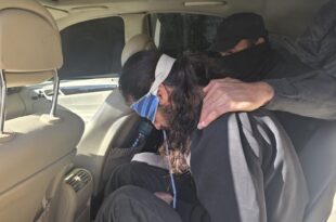 5008039538131143482 119