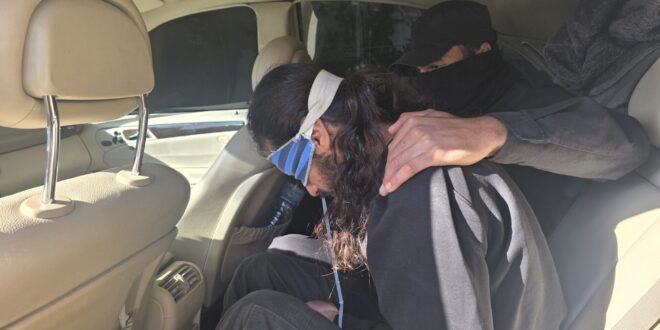 5008039538131143482 119