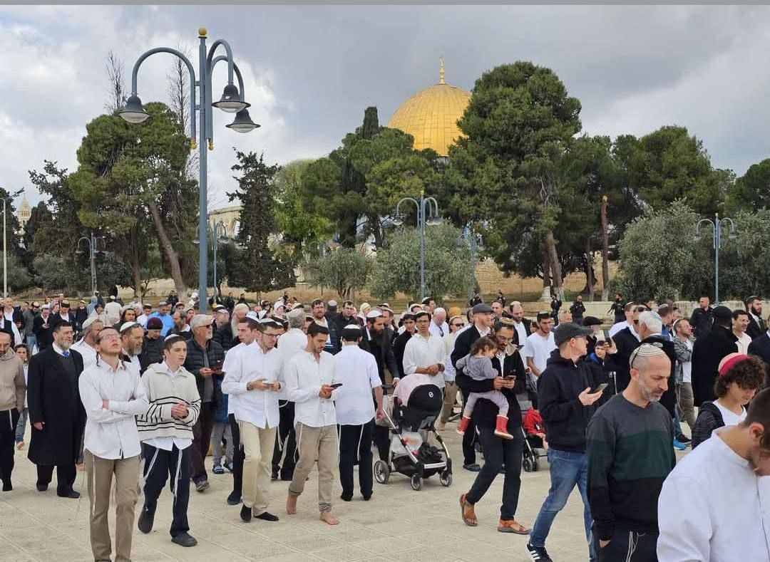 5474146195296350142 121