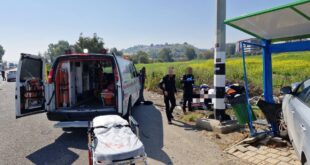 5983513017201052131 121