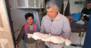 5985336110562872170 120