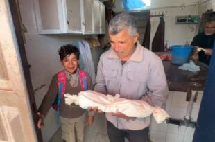 5985336110562872170 120