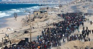 6001225535344200337 120 (0)