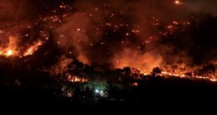 7P0M6 Rt0esYrRVYNZ35w