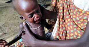 8c8ec907 f9cb 4abc b44d 8ea3d06c6ed5 16x9 1200x676