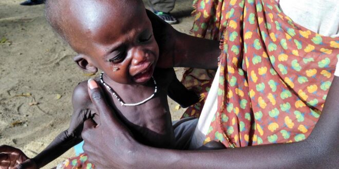 8c8ec907 f9cb 4abc b44d 8ea3d06c6ed5 16x9 1200x676