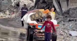 Ekran görüntüsü 2025 05 22 172659