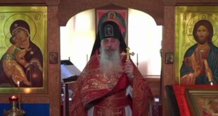 Ekran görüntüsü 2025 05 31 003541