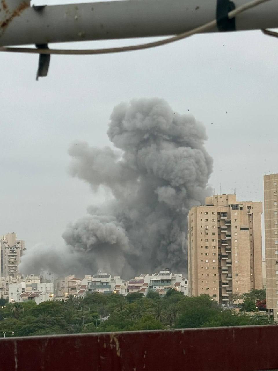 IMG 20250624 091229 977 IMG 20250624 091229 977