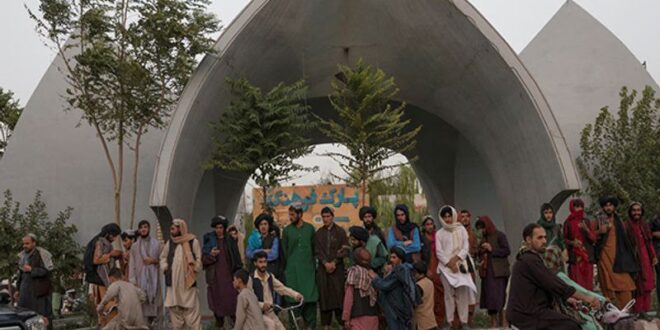 IMG 20250805 113604 203