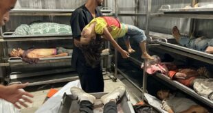 IMG 20250809 174924 460