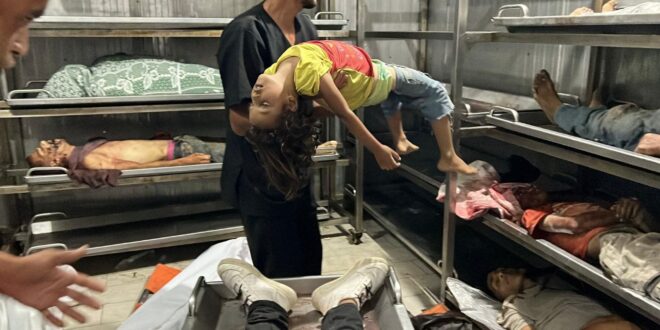 IMG 20250809 174924 460