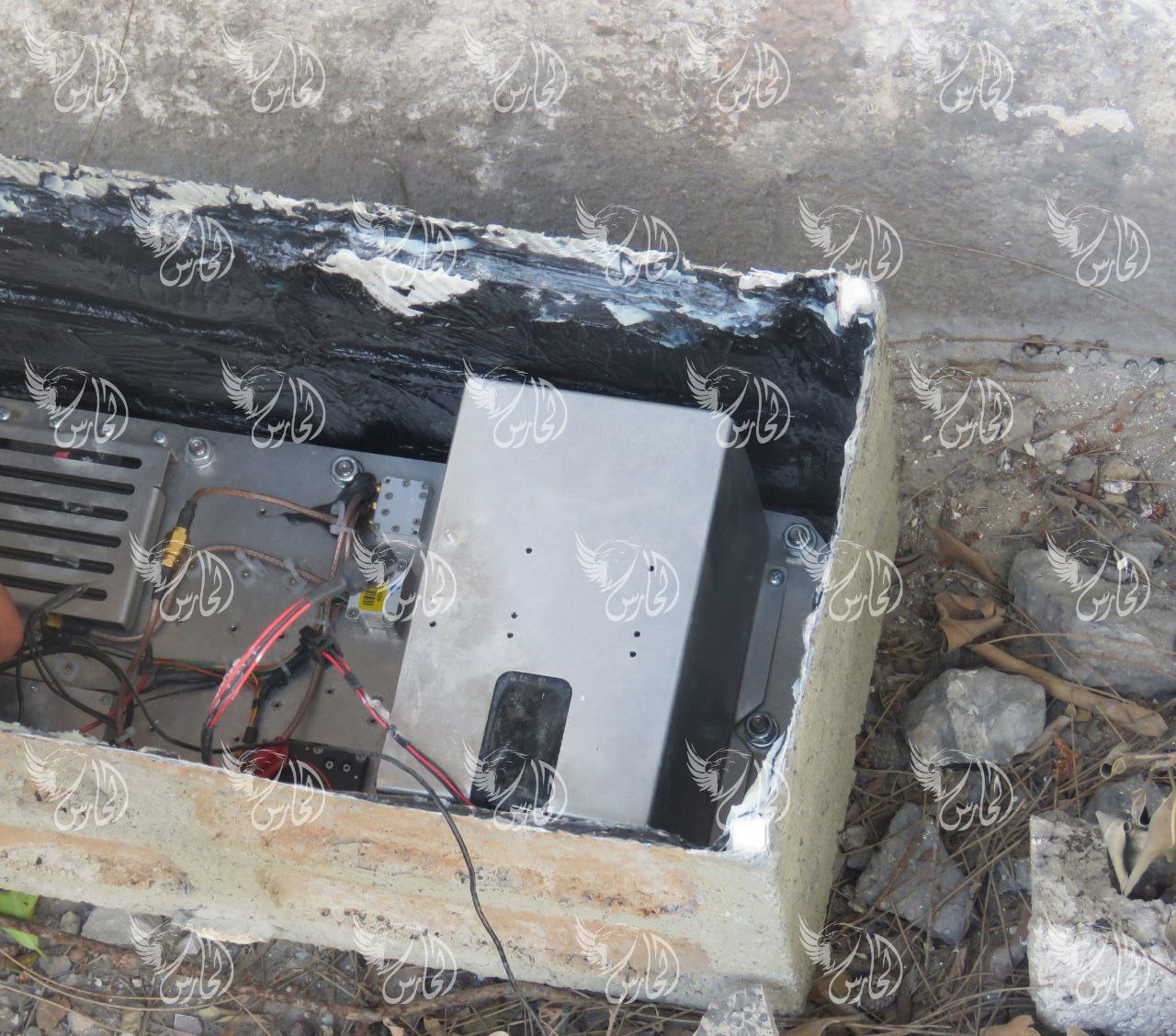 IMG 20250811 085750 884