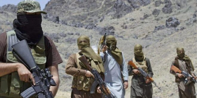 IMG 20250814 102945 524