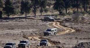 IMG 20250821 120620 624