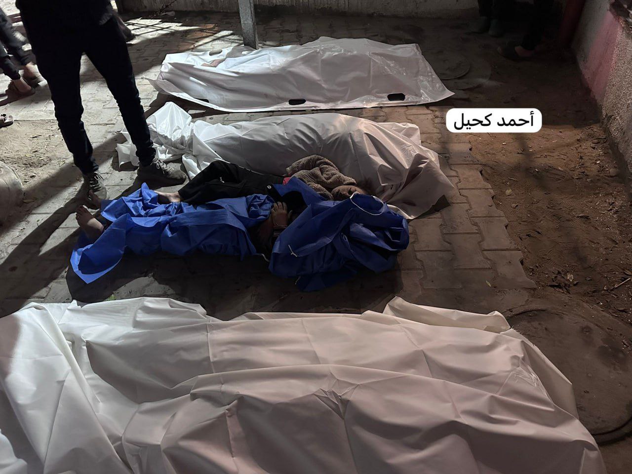 IMG 20251029 101834 359