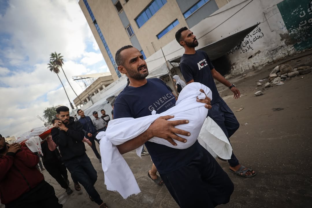 IMG 20251030 171547 753 IMG 20251030 171547 753