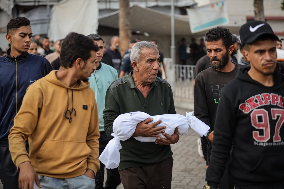 IMG 20251030 171550 527 IMG 20251030 171550 527