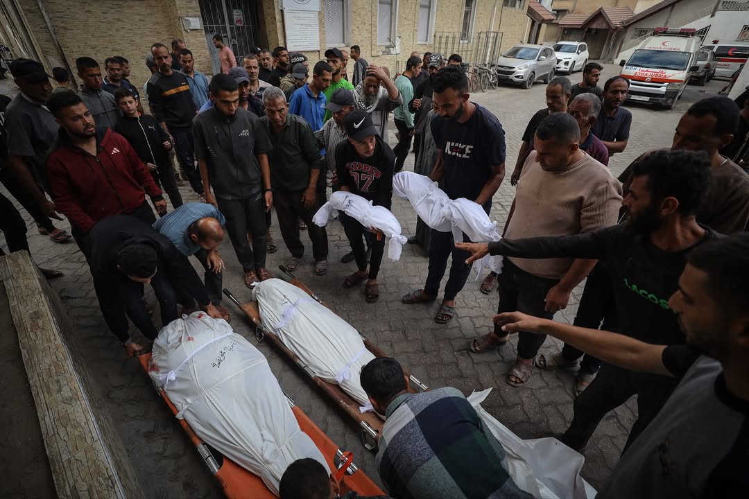 IMG 20251030 171557 283