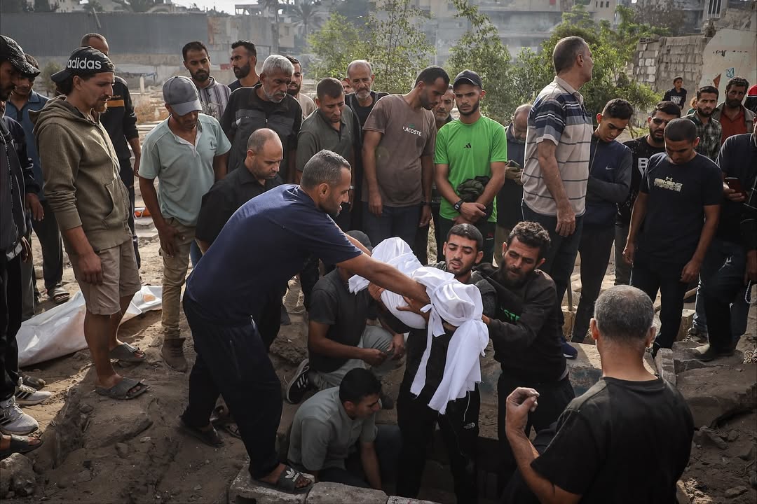 IMG 20251030 171600 629