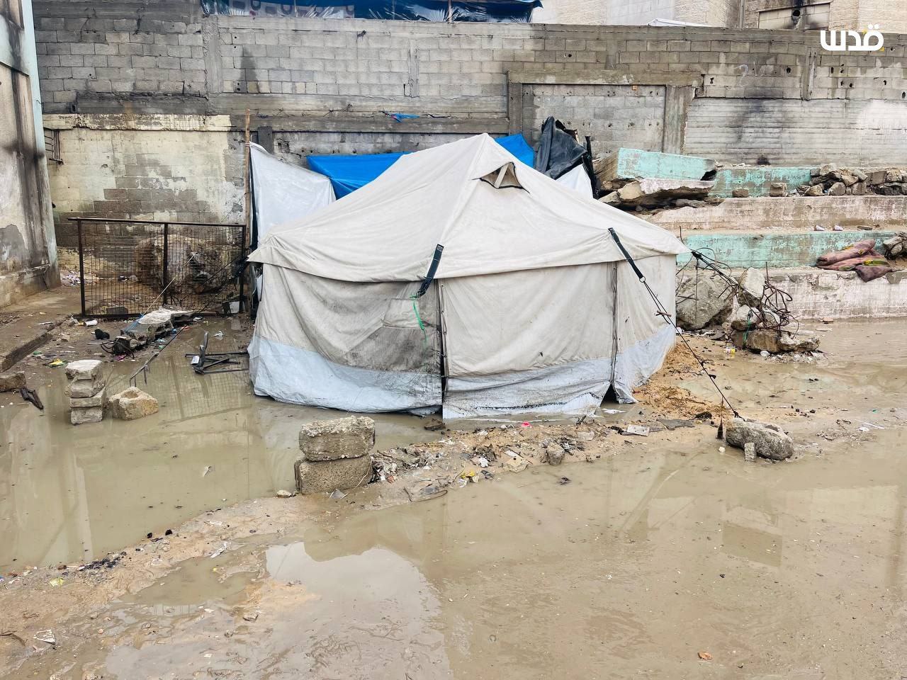 IMG 20251114 174832 644