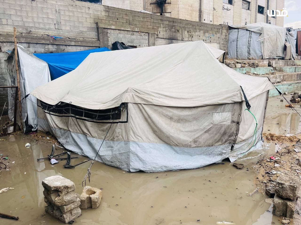 IMG 20251114 174835 489