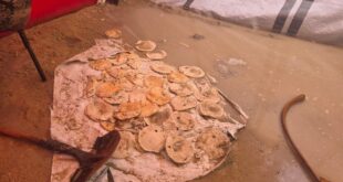 IMG 20251114 174951 469