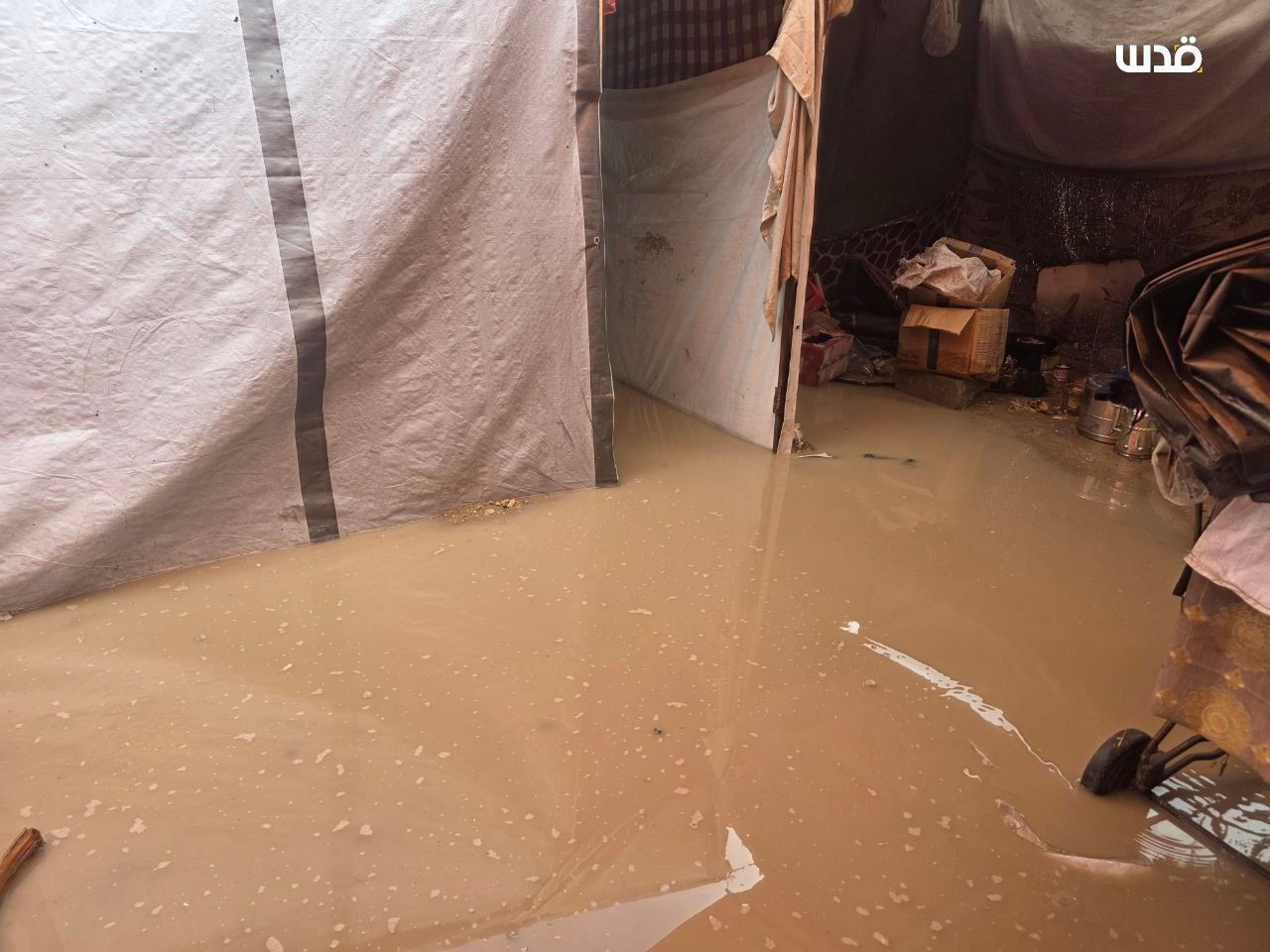 IMG 20251114 174957 857