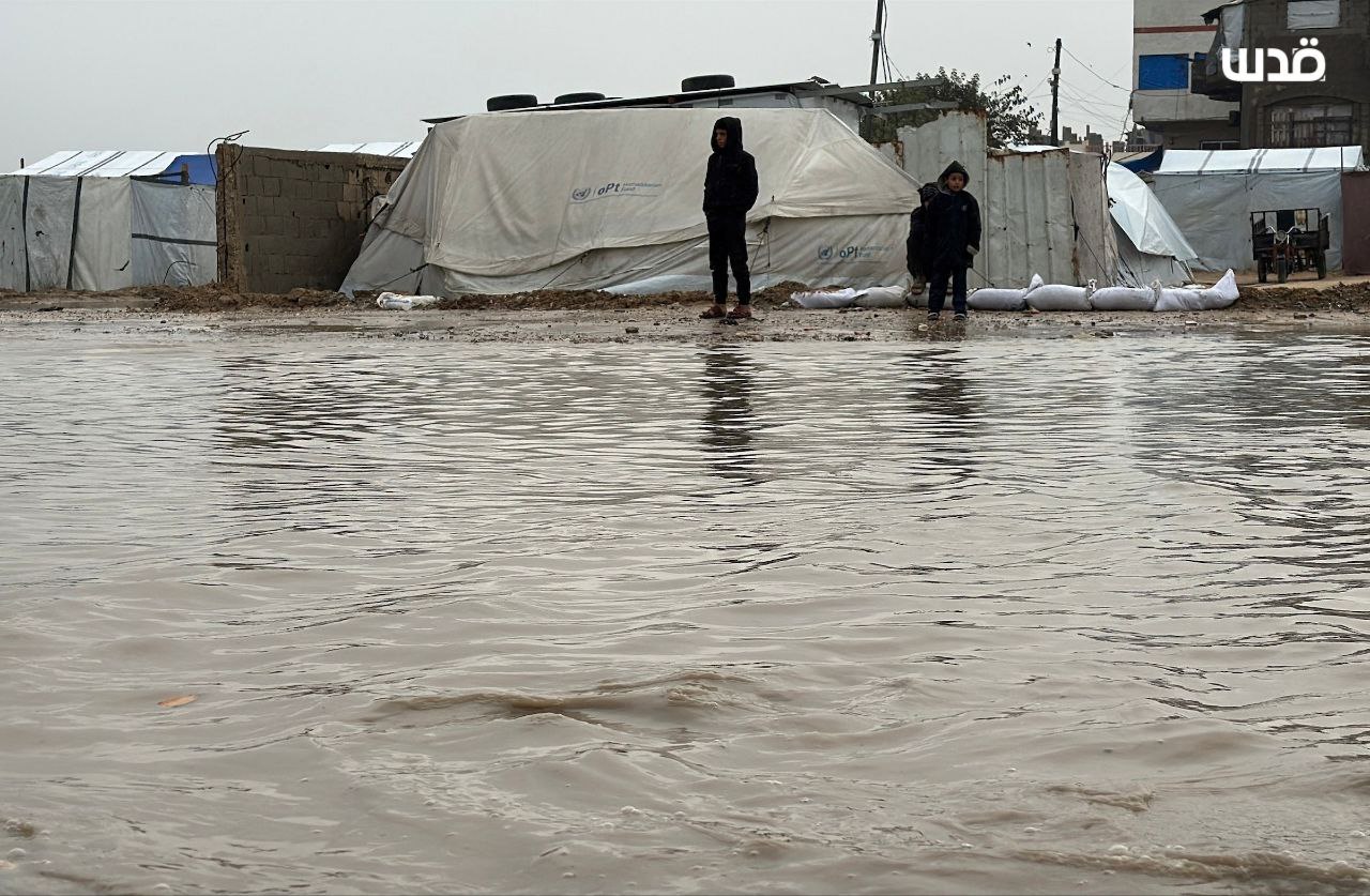 IMG 20251213 125630 431 IMG 20251213 125630 431