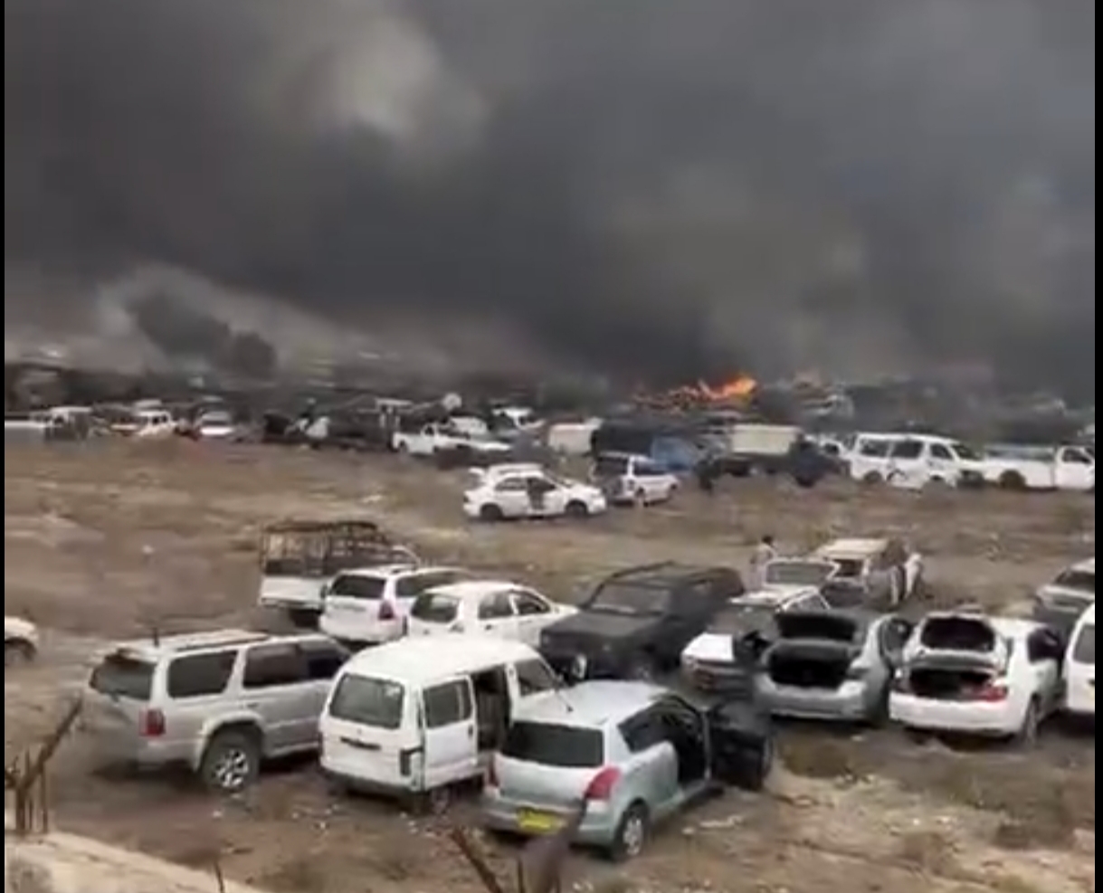 IMG 20260203 145846 IMG 20260203 145846