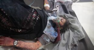 IMG 20260228 134330 604