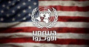 image 2025 12 11 18 42 34