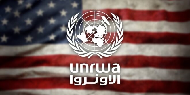 image 2025 12 11 18 42 34