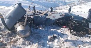 5960620274581441506 120