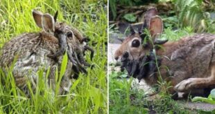 image 2025 08 21 18 41 00