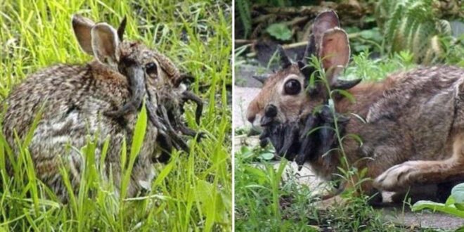 image 2025 08 21 18 41 00