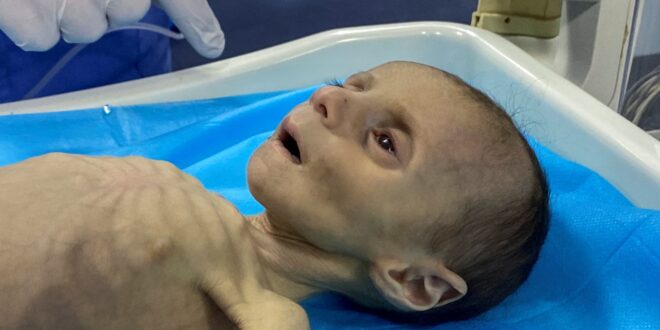 image 2025 07 26 14 42 22