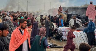 03370000 0aff 0242 2f46 08dadbdc09e5 cx0 cy8 cw0 w1200 r1