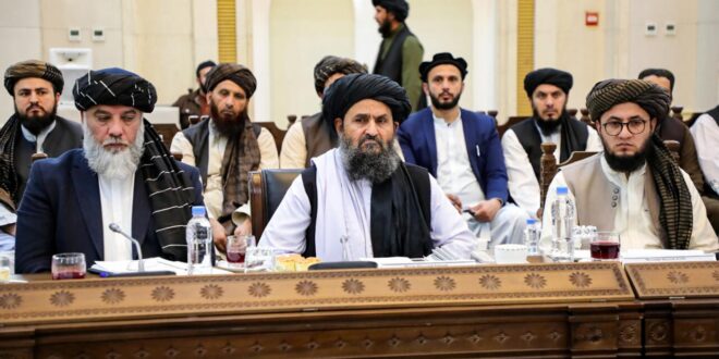 image 2025 04 17 21 33 24