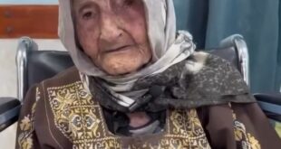 image 2025 05 05 11 43 22